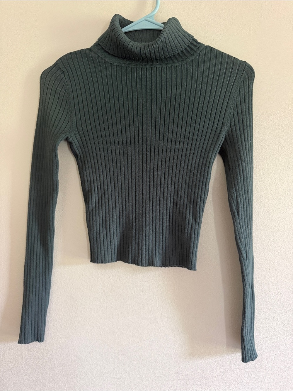 Wet Seal Black Ribbed Turtleneck Top